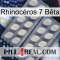 Rhinocéros 7 Bêta 07
